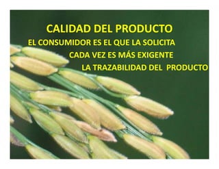 Estrategias competitividad desarrollo_sustentable