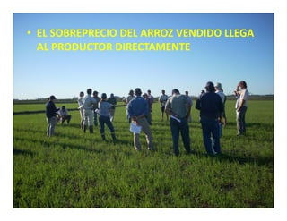 Estrategias competitividad desarrollo_sustentable