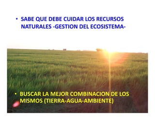 Estrategias competitividad desarrollo_sustentable