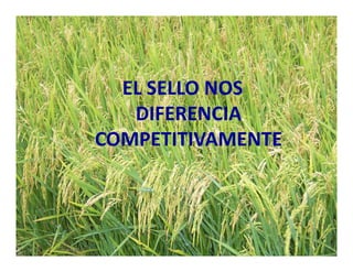 Estrategias competitividad desarrollo_sustentable