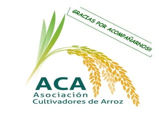 Estrategias competitividad desarrollo_sustentable