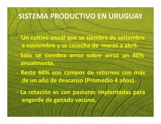 Estrategias competitividad desarrollo_sustentable