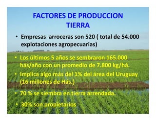 Estrategias competitividad desarrollo_sustentable