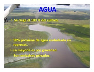 Estrategias competitividad desarrollo_sustentable