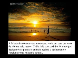 3. Mantenha contato com a natureza; tenha em casa um vaso de plantas pelo menos. Cuide dele com carinho. O amor que dedicamos às plantas e animais acalma o ser humano e funciona como relaxante natural. 