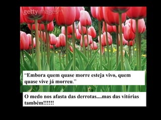 “ Embora quem quase morre esteja vivo, quem quase vive já morreu .” O medo nos afasta das derrotas....mas das vitórias também!!!!!! 