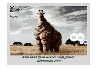 Mira todo hasta 10 veces más grande.
         Binoculares Zeiss
 