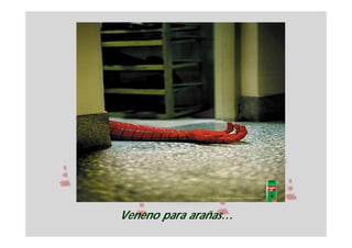 Veneno para arañas…
 