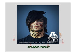 Zoológico Nacional
 
