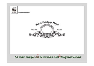 La vida salvaje en el mundo está desapareciendo
 