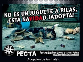 Adopción de Animales

 