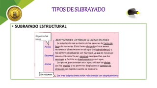 TIPOS DE SUBRAYADO
• SUBRAYADO ESTRUCTURAL
 
