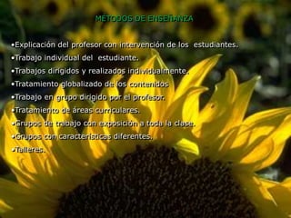 MÉTODOS DE ENSEÑANZA 
•Explicación del profesor con intervención de los estudiantes. 
•Trabajo individual del estudiante. 
•Trabajos dirigidos y realizados individualmente. 
•Tratamiento globalizado de los contenidos 
•Trabajo en grupo dirigido por el profesor. 
•Tratamiento de áreas curriculares. 
•Grupos de trabajo con exposición a toda la clase. 
•Grupos con características diferentes. 
•Talleres. 
 