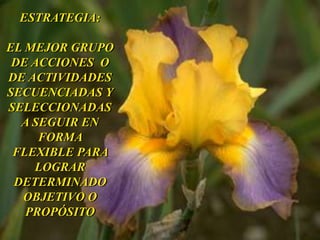 ESTRATEGIA: 
EL MEJOR GRUPO 
DE ACCIONES O 
DE ACTIVIDADES 
SECUENCIADAS Y 
SELECCIONADAS 
A SEGUIR EN 
FORMA 
FLEXIBLE PARA 
LOGRAR 
DETERMINADO 
OBJETIVO O 
PROPÓSITO 
 