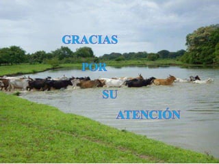 Estrategias de ensenanza