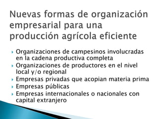 Estrategias de inversion en el capital humano caso bolivia arnold hameleers