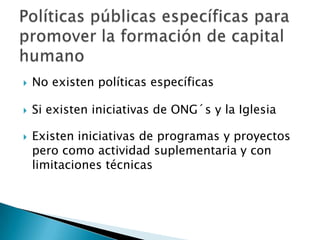 Estrategias de inversion en el capital humano caso bolivia arnold hameleers