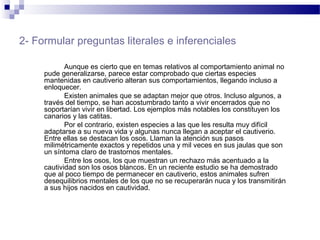 2- Formular preguntas literales e inferenciales
Aunque es cierto que en temas relativos al comportamiento animal no
pude generalizarse, parece estar comprobado que ciertas especies
mantenidas en cautiverio alteran sus comportamientos, llegando incluso a
enloquecer.
Existen animales que se adaptan mejor que otros. Incluso algunos, a
través del tiempo, se han acostumbrado tanto a vivir encerrados que no
soportarían vivir en libertad. Los ejemplos más notables los constituyen los
canarios y las catitas.
Por el contrario, existen especies a las que les resulta muy difícil
adaptarse a su nueva vida y algunas nunca llegan a aceptar el cautiverio.
Entre ellas se destacan los osos. Llaman la atención sus pasos
milimétricamente exactos y repetidos una y mil veces en sus jaulas que son
un síntoma claro de trastornos mentales.
Entre los osos, los que muestran un rechazo más acentuado a la
cautividad son los osos blancos. En un reciente estudio se ha demostrado
que al poco tiempo de permanecer en cautiverio, estos animales sufren
desequilibrios mentales de los que no se recuperarán nuca y los transmitirán
a sus hijos nacidos en cautividad.
 