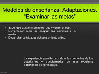 Modelos de enseñanza: Adaptaciones.
“Examinar las metas”
• Saber que existen mamíferos que viven en el mar.
• Comprender como se adaptan los animales a su
medio.
• Desarrollar actividades del pensamiento critico.
La experiencia permite capitalizar las preguntas de los
estudiantes y transformarlas en una excelente
experiencia de aprendizaje.
 