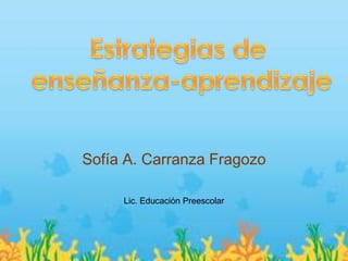 Sofía A. Carranza Fragozo

     Lic. Educación Preescolar




              Regresar
 