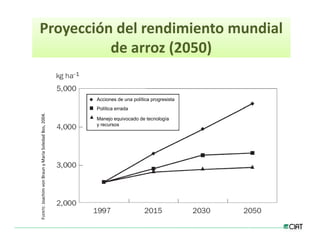 Estrategias innovacion desarrollo_lac