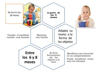 A partir de
los 6
meses
Manifiesta una intención
en su comportamiento
Puede manifestar temor
ante los extraños
Mantiene
una botella
Guarda el equilibrio
cuando está sentado
Adapta su
mano a la
forma de
los objetos
Se lleva
frecuenteme
nte los
objetos a la
boca
Entre
los 6 y 8
meses
De los 6 a los
18 meses
 