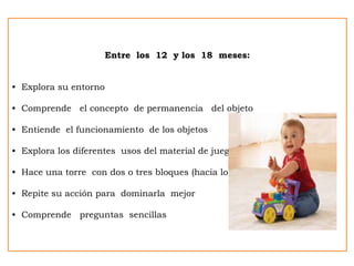 Entre los 12 y los 18 meses:
• Explora su entorno
• Comprende el concepto de permanencia del objeto
• Entiende el funcionamiento de los objetos
• Explora los diferentes usos del material de juego
• Hace una torre con dos o tres bloques (hacia los 15 meses)
• Repite su acción para dominarla mejor
• Comprende preguntas sencillas
 