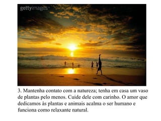 3. Mantenha contato com a natureza; tenha em casa um vaso de plantas pelo menos. Cuide dele com carinho. O amor que dedicamos às plantas e animais acalma o ser humano e funciona como relaxante natural. 