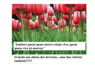 “ Embora quem quase morre esteja vivo, quem quase vive já morreu .” O medo nos afasta das derrotas....mas das vitórias também!!!!!! 