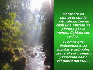 Mantente en
contacto con la
naturaleza; ten en
casa una maceta de
plantas por lo
menos. Cuídala con
cariño.
El amor que
dedicamos a las
plantas y animales
calma al ser humano
y funciona como
relajante natural...

 