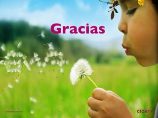 Gracias 