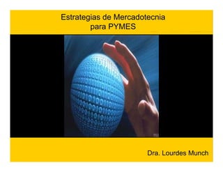 Estrategias de Mercadotecnia
        para PYMES




                       Dra. Lourdes Munch
   www.munch.com.mx
 