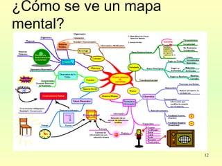 12
¿Cómo se ve un mapa
mental?
 
