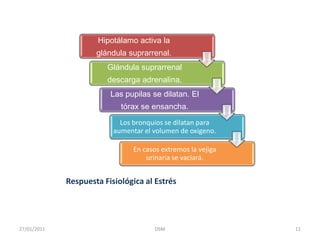 Respuesta Fisiológica al Estrés11DSM    27/01/2011