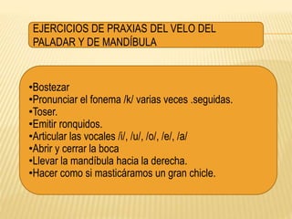 EJERCICIOS DE PRAXIAS DEL VELO DEL
PALADAR Y DE MANDÍBULA
•Bostezar
•Pronunciar el fonema /k/ varias veces .seguidas.
•Toser.
•Emitir ronquidos.
•Articular las vocales /i/, /u/, /o/, /e/, /a/
•Abrir y cerrar la boca
•Llevar la mandíbula hacia la derecha.
•Hacer como si masticáramos un gran chicle.
 