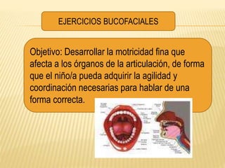 EJERCICIOS BUCOFACIALES
Objetivo: Desarrollar la motricidad fina que
afecta a los órganos de la articulación, de forma
que el niño/a pueda adquirir la agilidad y
coordinación necesarias para hablar de una
forma correcta.
 
