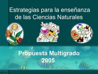 Estrategias para la enseñanza
de las Ciencias Naturales
Propuesta Multigrado
2005
 