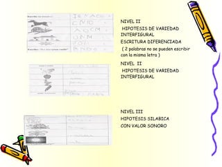 NIVEL II
HIPOTESIS DE VARIEDAD
INTERFIGURAL
ESCRITURA DIFERENCIADA
( 2 palabras no se pueden escribir
con la misma letra )
NIVEL II
HIPOTESIS DE VARIEDAD
INTERFIGURAL
NIVEL III
HIPOTESIS SILABICA
CON VALOR SONORO
 