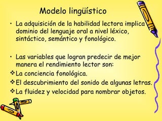 Modelo lingüístico
• La adquisición de la habilidad lectora implica
dominio del lenguaje oral a nivel léxico,
sintáctico, semántico y fonológico.
• Las variables que logran predecir de mejor
manera el rendimiento lector son:
La conciencia fonológica.
El descubrimiento del sonido de algunas letras.
La fluidez y velocidad para nombrar objetos.
 