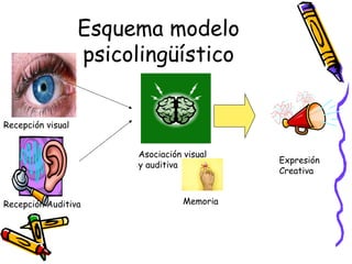Esquema modelo
psicolingüístico
Recepción visual
Recepción Auditiva
Asociación visual
y auditiva
Memoria
Expresión
Creativa
 