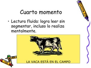 Cuarto momento
• Lectura fluida: logra leer sin
segmentar, incluso lo realiza
mentalmente.
LA VACA ESTÁ EN EL CAMPO
 