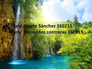 Jaid duarte Sánchez 160211
Marly Benavides contreras 160215
 