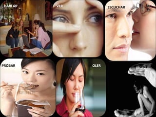 SENTIR
HABLAR VER ESCUCHAR
PROBAR OLER
APOYO I.E.D.M.A.C.
 