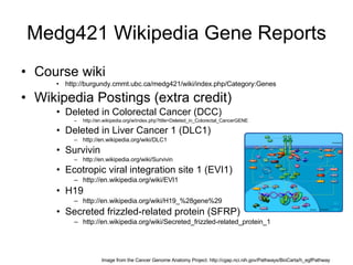 Medg421 Wikipedia Gene Reports Course wiki http://burgundy.cmmt.ubc.ca/medg421/wiki/index.php/Category:Genes Wikipedia Postings (extra credit) Deleted in Colorectal Cancer (DCC) http://en.wikipedia.org/w/index.php?title=Deleted_in_Colorectal_CancerGENE Deleted in Liver Cancer 1 (DLC1) http://en.wikipedia.org/wiki/DLC1 Survivin http://en.wikipedia.org/wiki/Survivin Ecotropic viral integration site 1 (EVI1) http://en.wikipedia.org/wiki/EVI1 H19 http://en.wikipedia.org/wiki/H19_%28gene%29 Secreted frizzled-related protein (SFRP) http://en.wikipedia.org/wiki/Secreted_frizzled-related_protein_1 Image from the Cancer Genome Anatomy Project. http://cgap.nci.nih.gov/Pathways/BioCarta/h_egfPathway 