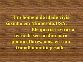 Um homem de idade vivia sòzinho em Minnesota,USA.  Ele queria revirar a terra de seu jardim para plantar flores, mas, era um trabalho muito pesado. 