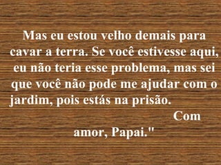 Mas eu estou velho demais para cavar a terra. Se você estivesse aqui, eu não teria esse problema, mas sei que você não pode me ajudar com o jardim, pois estás na prisão.  Com amor, Papai." 