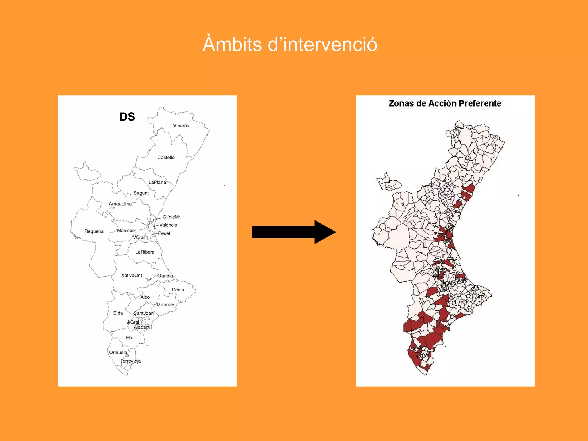 Àmbits d’intervenció
DS
 
