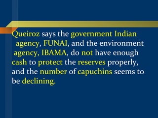 Queiroz  says the  government Indian   agency ,  FUNAI , and the environment  agency, IBAMA , do  not  have enough  cash  to  protect  the  reserves  properly,  and the  number  of  capuchins  seems to be  declining. 