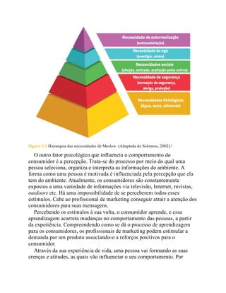 Figura 5.2 Hierarquia das necessidades de Maslow. (Adaptada de Solomon, 2002).1
O outro fator psicológico que influencia o comportamento do
consumidor é a percepção. Trata-se do processo por meio do qual uma
pessoa seleciona, organiza e interpreta as informações do ambiente. A
forma como uma pessoa é motivada é influenciada pela percepção que ela
tem do ambiente. Atualmente, os consumidores são constantemente
expostos a uma variedade de informações via televisão, Internet, revistas,
outdoors etc. Há uma impossibilidade de se perceberem todos esses
estímulos. Cabe ao profissional de marketing conseguir atrair a atenção dos
consumidores para suas mensagens.
Percebendo os estímulos à sua volta, o consumidor aprende, e essa
aprendizagem acarreta mudanças no comportamento das pessoas, a partir
da experiência. Compreendendo como se dá o processo de aprendizagem
para os consumidores, os profissionais de marketing podem estimular a
demanda por um produto associando-o a reforços positivos para o
consumidor.
Através da sua experiência de vida, uma pessoa vai formando as suas
crenças e atitudes, as quais vão influenciar o seu comportamento. Por
 