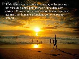 3. Mantenha contato com a natureza; tenha em casa um vaso de plantas pelo menos. Cuide dele com carinho. O amor que dedicamos às plantas e animais acalma o ser humano e funciona como relaxante natural. 